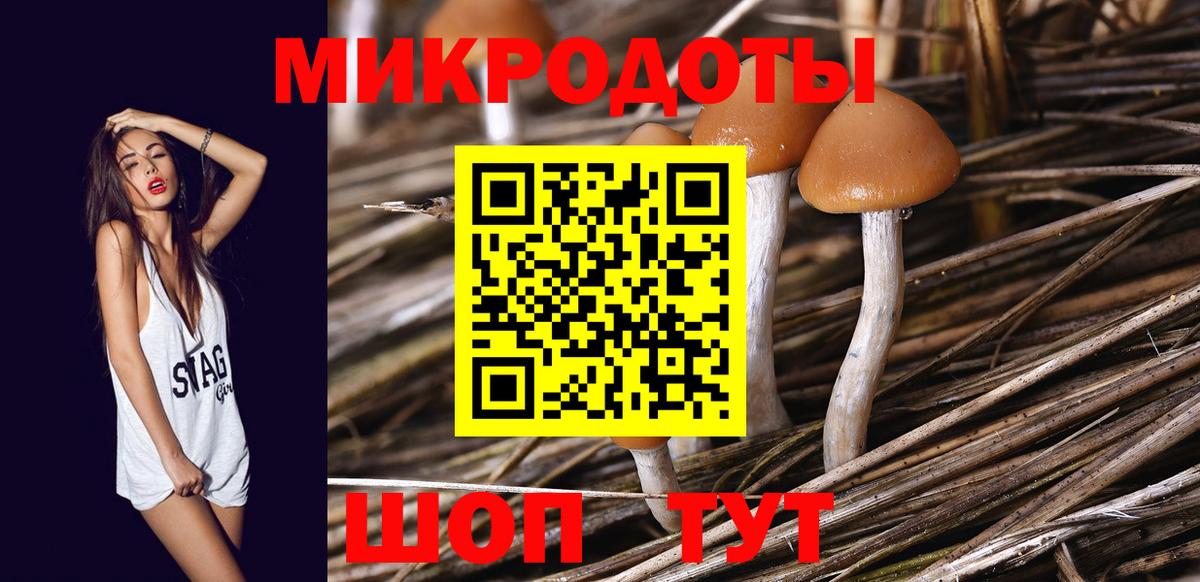 Кириши  Псилоцибиновые грибы ЛСД  Галлюциногенные грибы ЛСД  Вход с VPN 